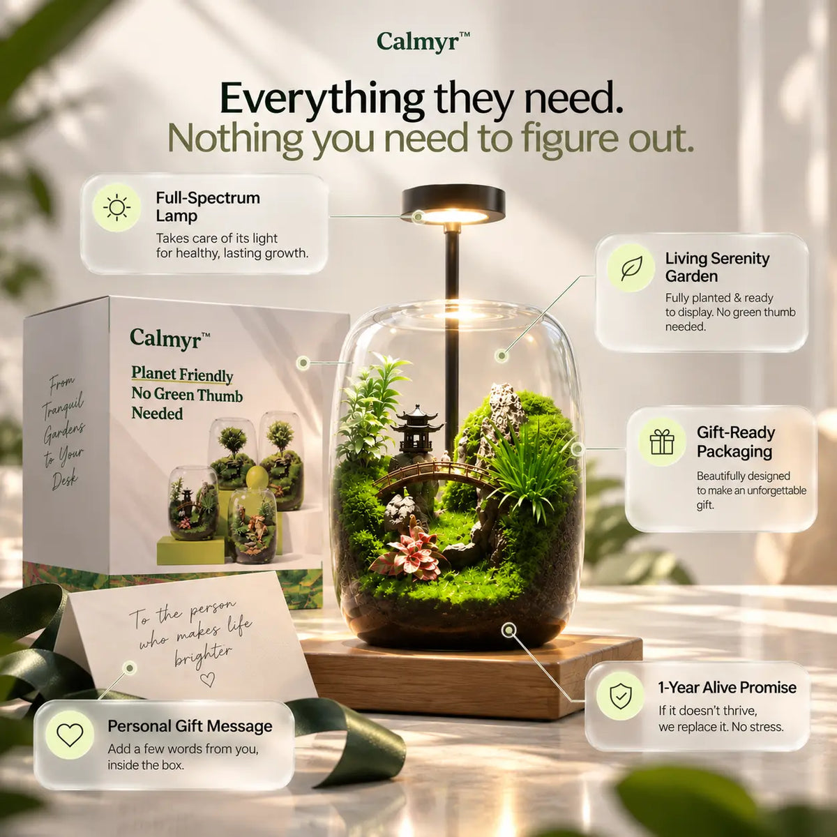 calmyr™ Terrariums