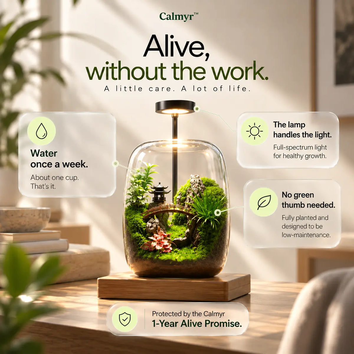 calmyr™ Terrariums