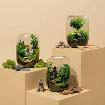 calmyr™ Terrariums