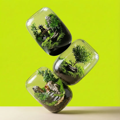 calmyr™ Terrariums