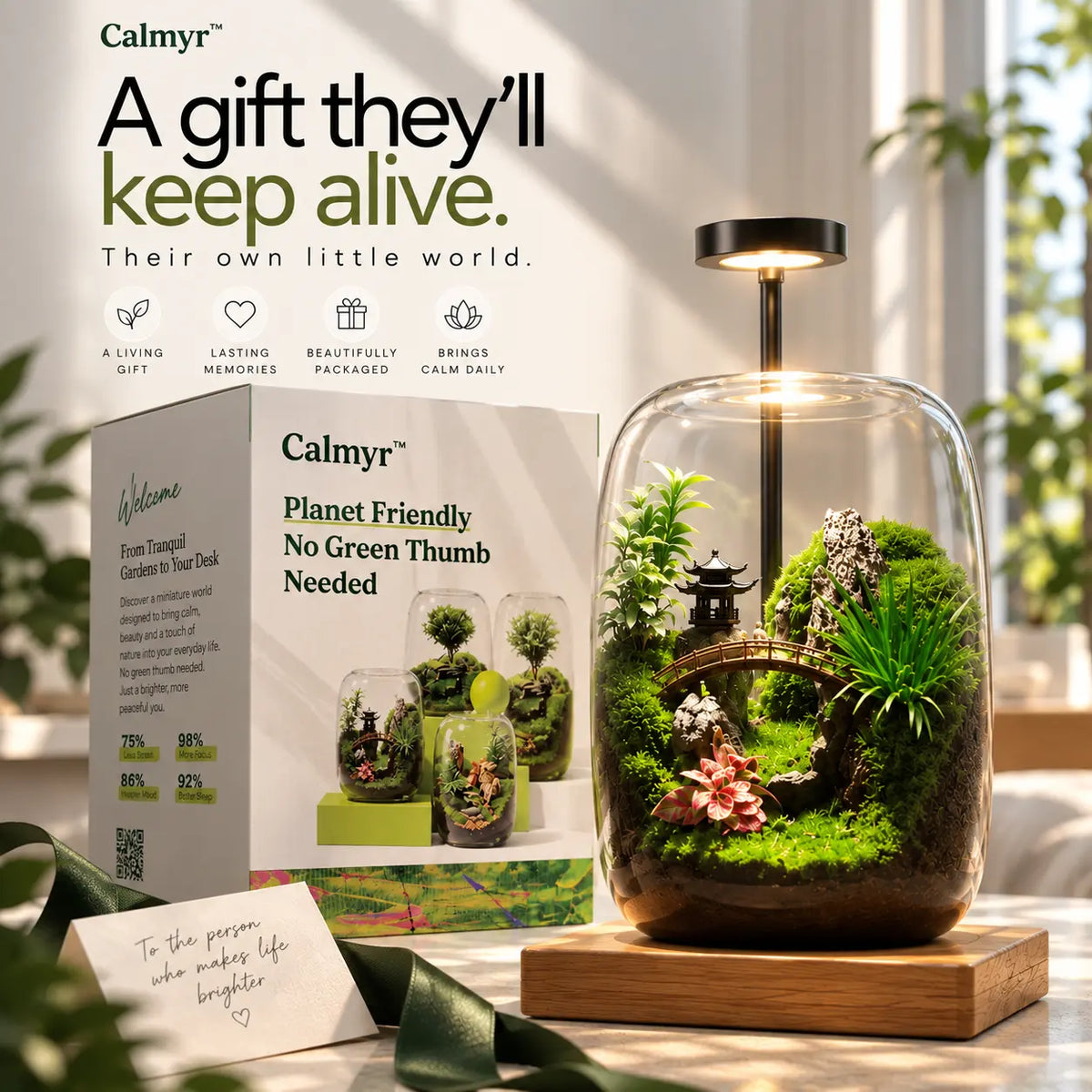calmyr™ Terrariums