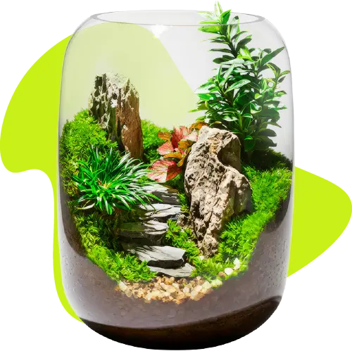 calmyr™ Gifts