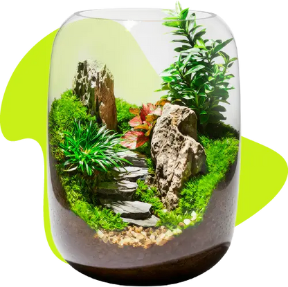 calmyr™ Terrariums (Copy)