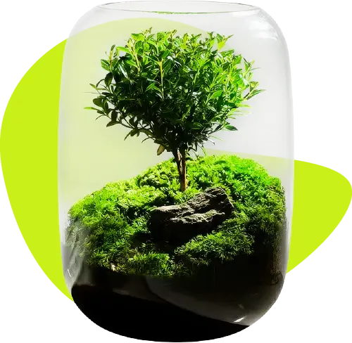 calmyr™ Terrariums (Copy)