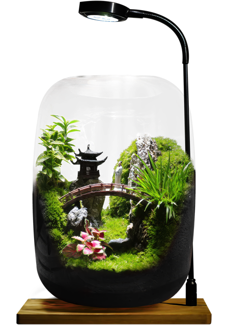 Serenity Garden