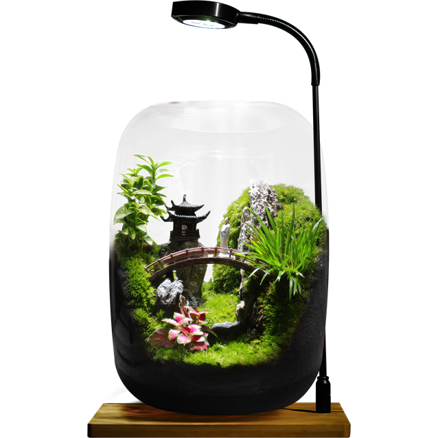 Serenity Garden