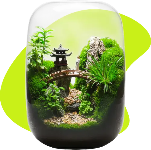 calmyr™ Terrariums (Copy)