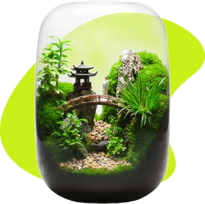 calmyr™ Gifts