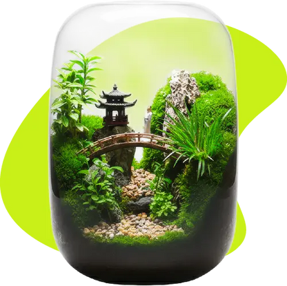 calmyr™ Terrariums (Copy)